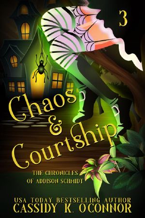 [Addison Schmidt 03] • Chaos & Courtship